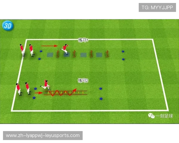 足球运动员的体能恢复与调节技巧